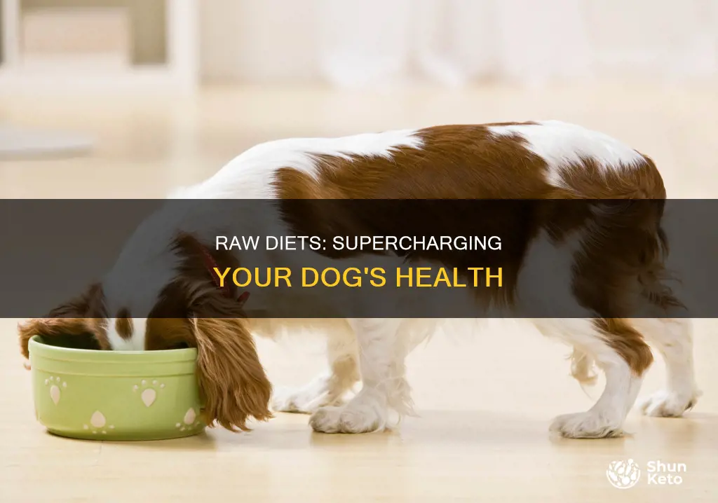 what is the benefit of raw diets for dogs