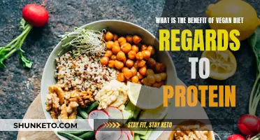 Vegan Diets: High-Protein, High-Benefit, High-Energy