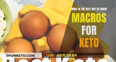 Best Keto Macro-Tracking Apps for Your Diet