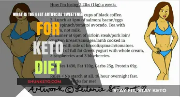 Top Keto-Friendly Artificial Sweeteners: Which One Fits Your Diet Best?