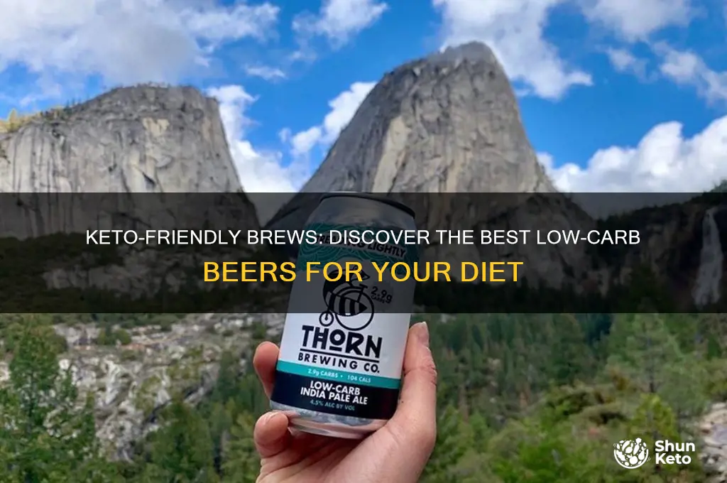what is the best beer for keto diet