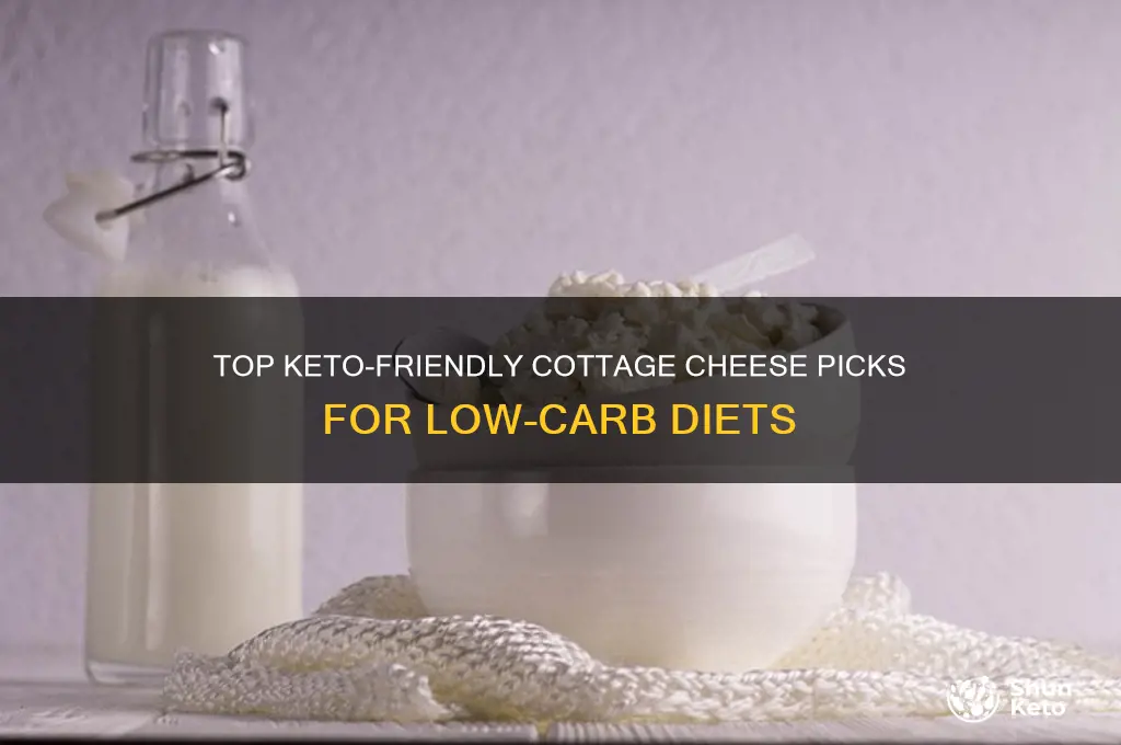 what is the best cottage cheese for keto diet