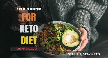 Top Keto-Friendly Fibers to Boost Your Low-Carb Lifestyle