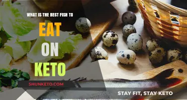 Top Keto-Friendly Fish Choices for a Healthy Low-Carb Diet