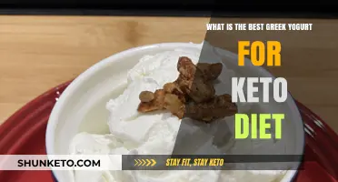 Top Keto-Friendly Greek Yogurt Picks for Low-Carb Diets