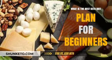 Ultimate Beginner's Guide to the Best Keto Diet Plan
