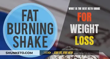 Best Keto Shakes to Support Your Weight Loss