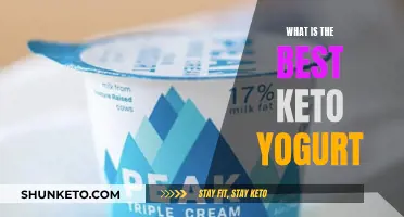 Best Keto Yogurt: Top Picks and Reviews