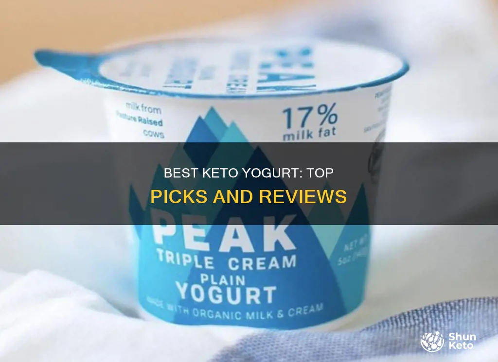 what is the best keto yogurt