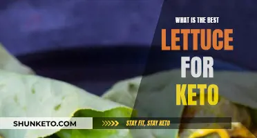 Best Lettuce Options for Your Keto Diet