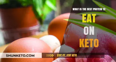 Top Keto-Friendly Protein Sources for Optimal Low-Carb Diets