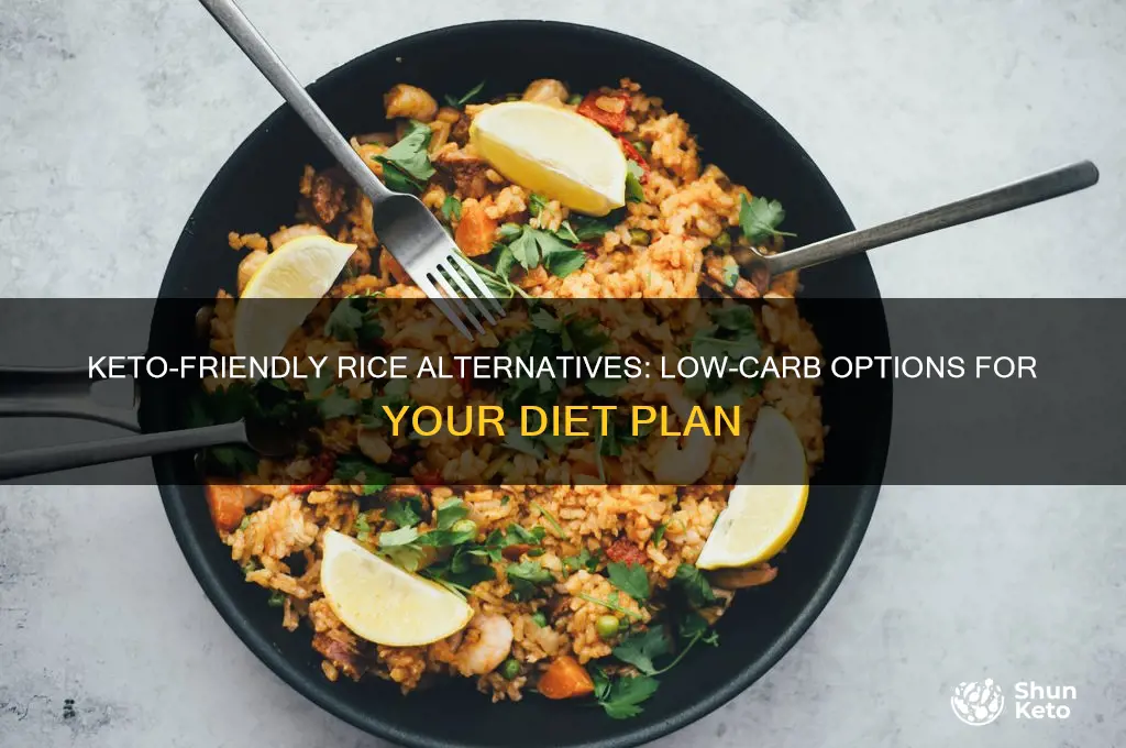 what is the best rice for keto diet