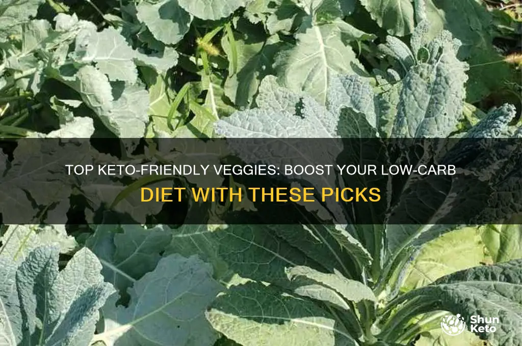 what is the best vegetable for keto diet