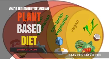 Vegetarian vs Plant-Based: What's the Difference?