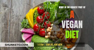 Vegan Diets: What's the Most Important Component?