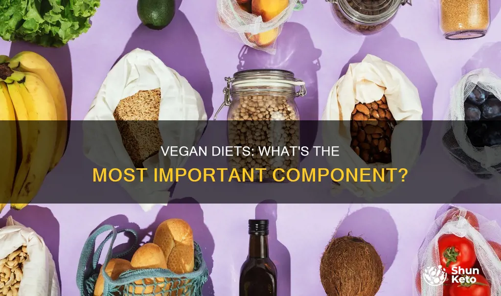 what is the biggest part of a vegan diet