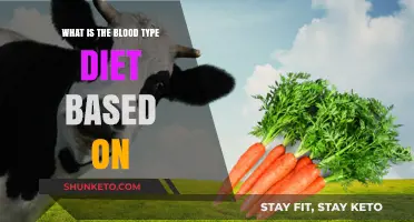 Blood Type Diet: The Science Behind the Theory