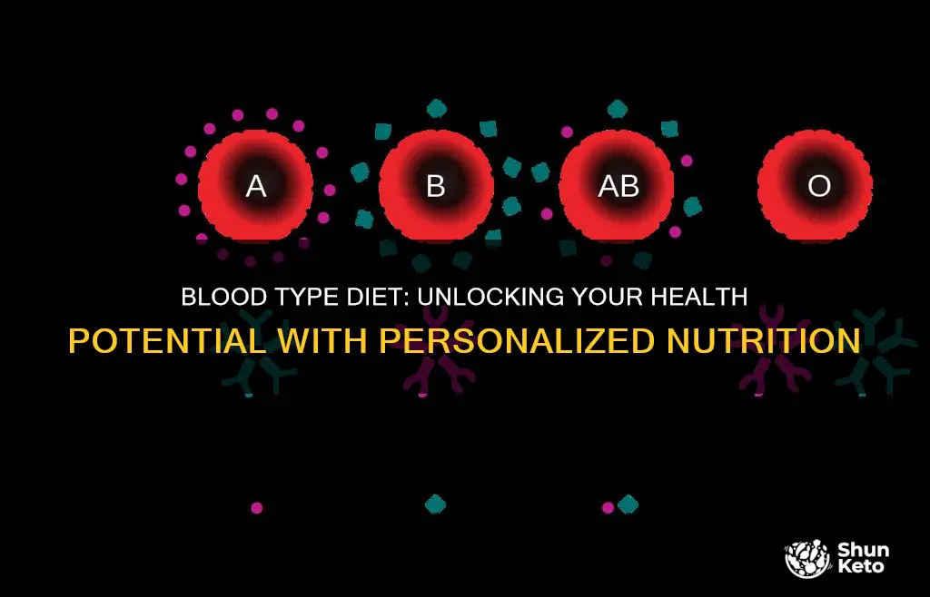 what is the blood type diet