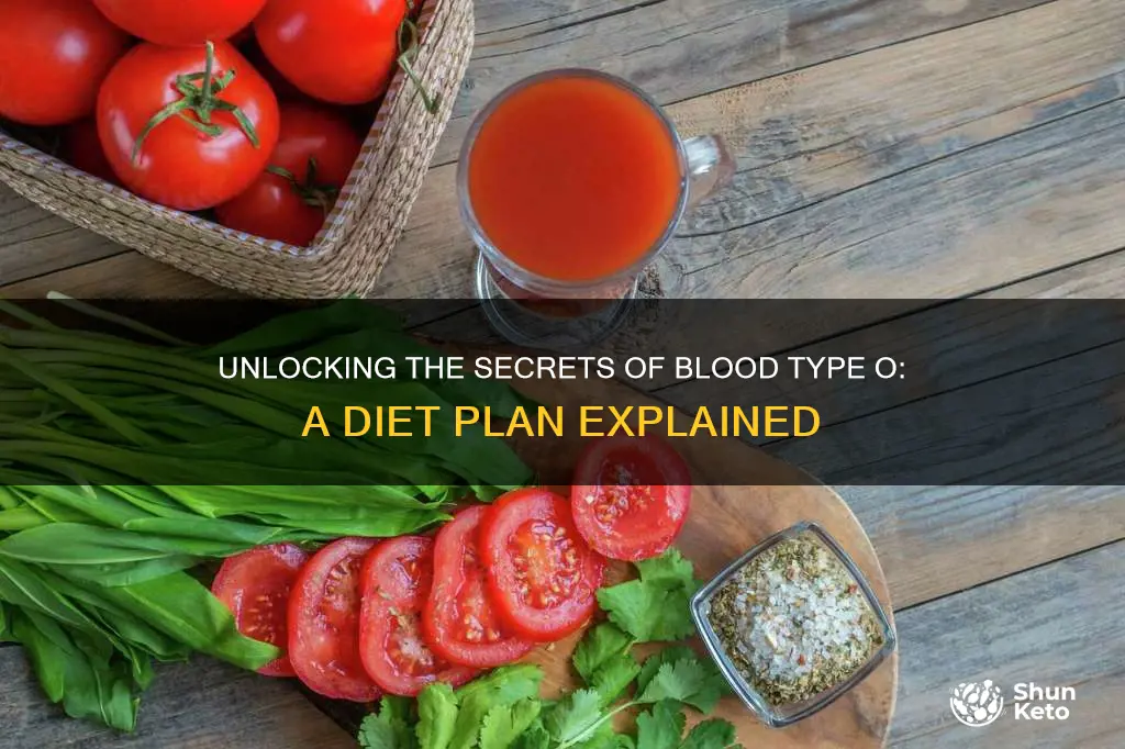 what is the blood type o diet plan