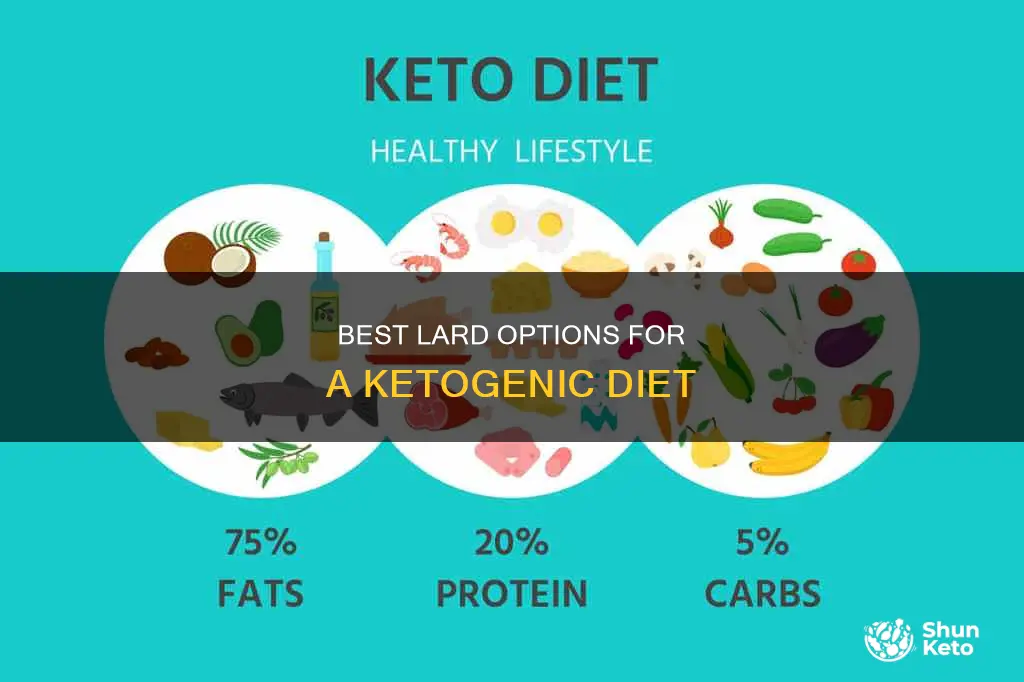 what is the brst lard for ketogenic diet