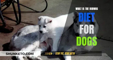 The Budwig Diet for Dogs: A Cancer-Fighting Protocol