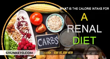 Renal Diet Calorie Intake: Counting Every Bite
