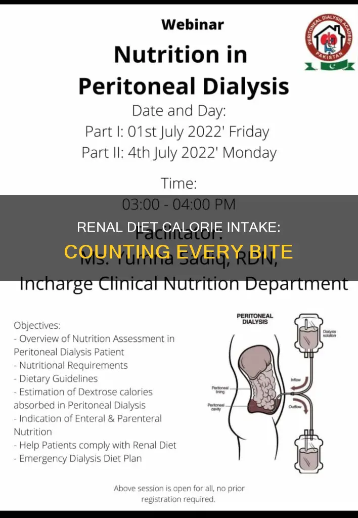 what is the calorie intake for a renal diet