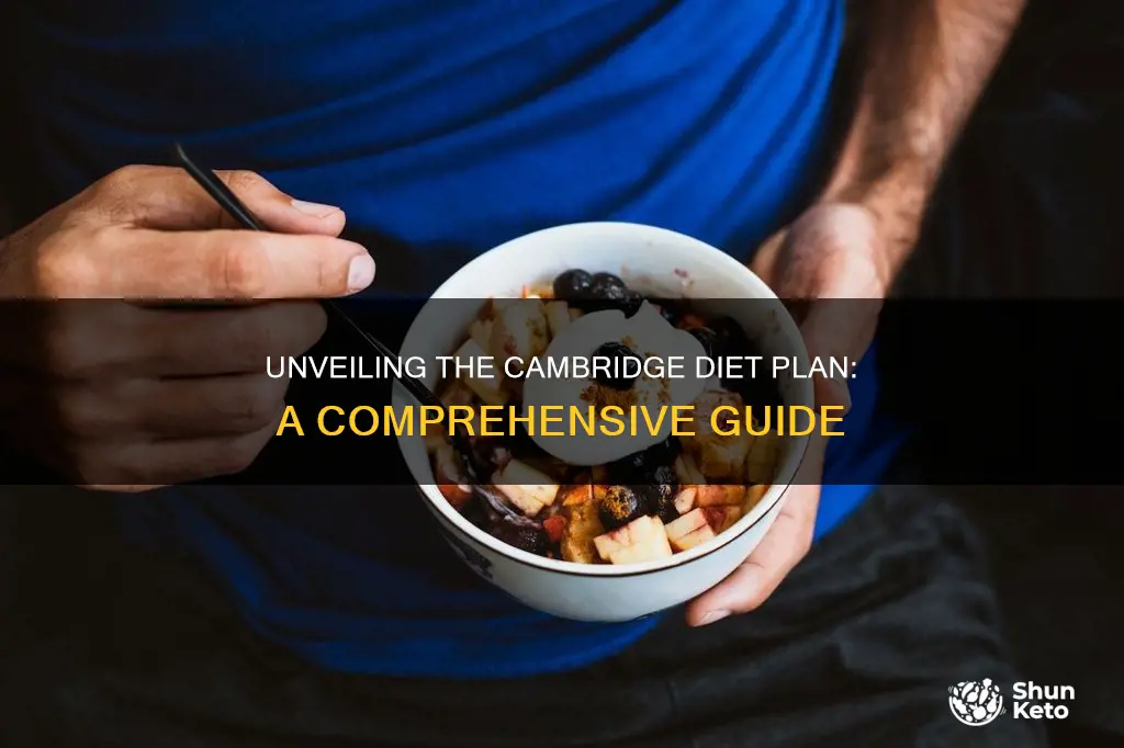 what is the cambridge diet plan