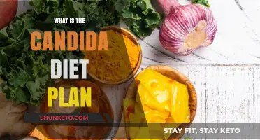 Uncover the Candida Diet: A Comprehensive Guide to Healing