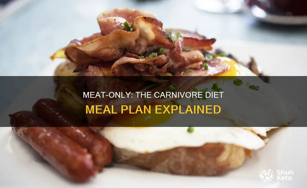 what is the carnivore diet meal plan