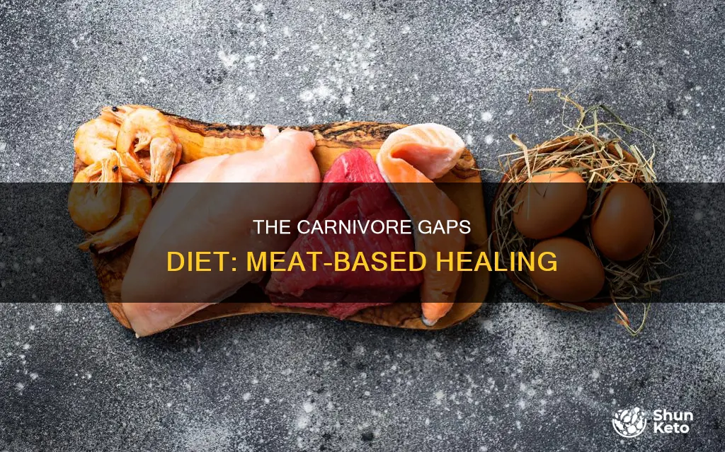 what is the carnivore gaps diet