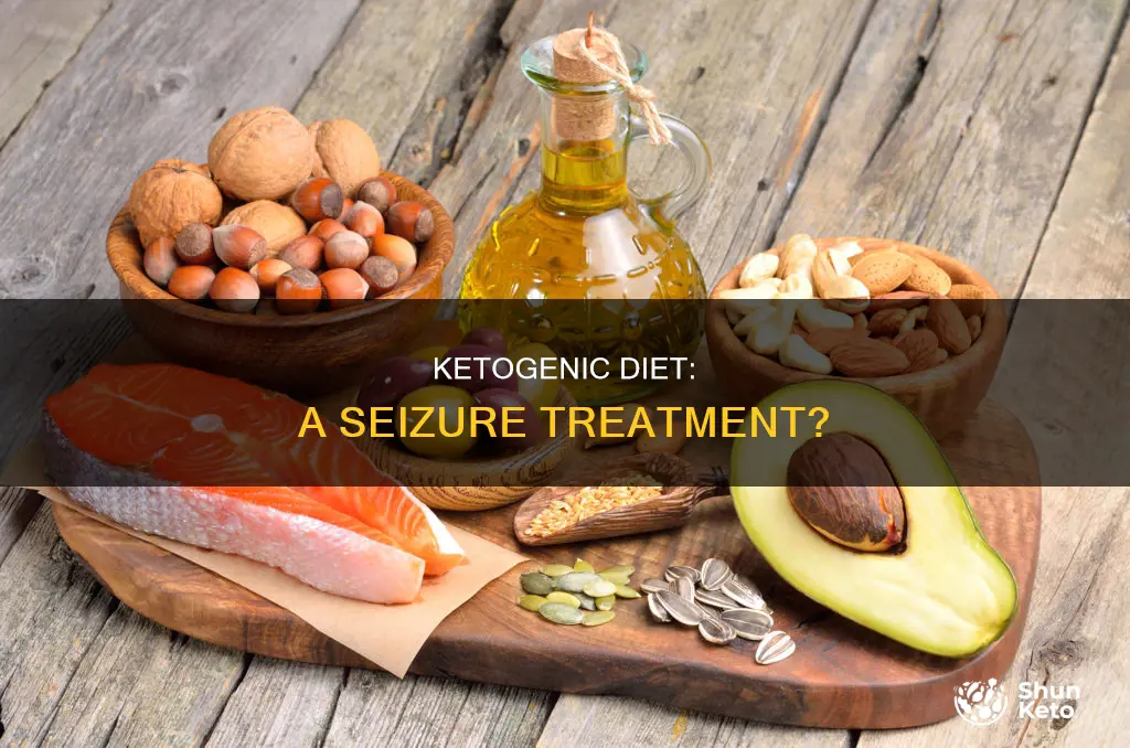 what is the connection between a ketogenic diet and seuzures
