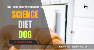 Science Diet Dog Food: How Much to Feed?