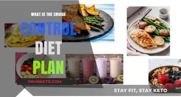 Cruise Control Diet: A Sustainable Weight Loss Journey