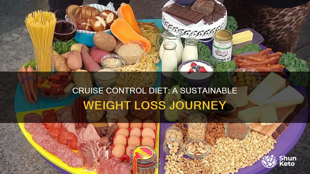 what is the cruise control diet plan