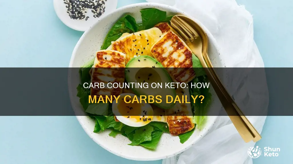 what is the daily carb count on a keto diet