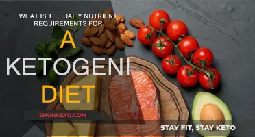 Ketogenic Diet: Daily Nutrient Requirements Explained