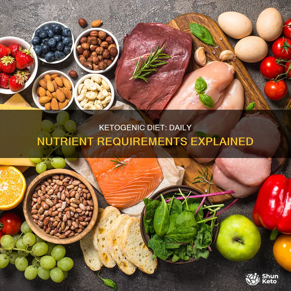 what is the daily nutrient requirements for a ketogenic diet