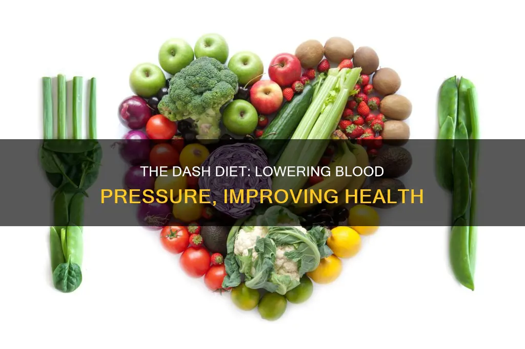 what is the dash diet used for