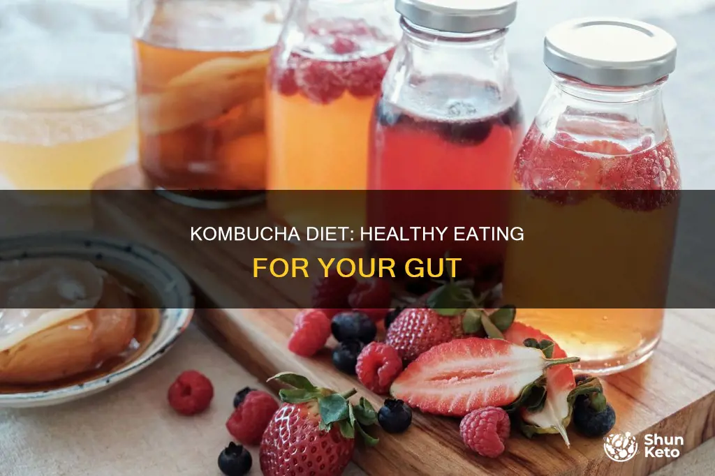 what is the diet for kombucha starter kit