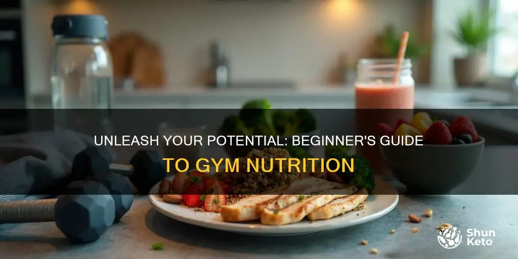 what is the diet plan for gym beginners