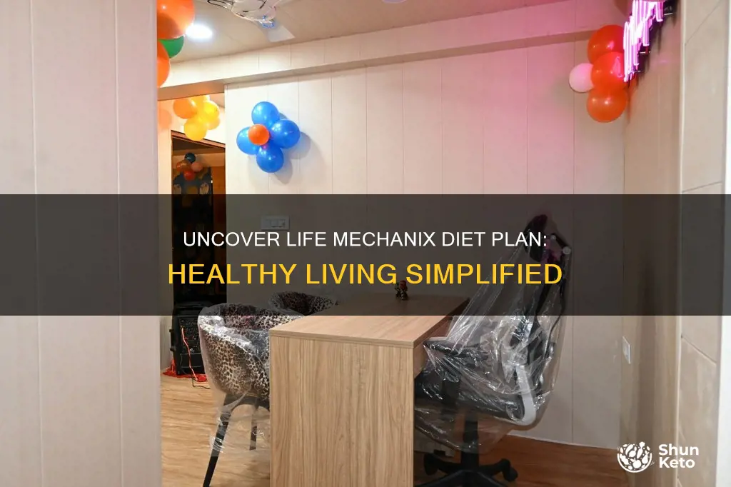 what is the diet plan for life mechanix