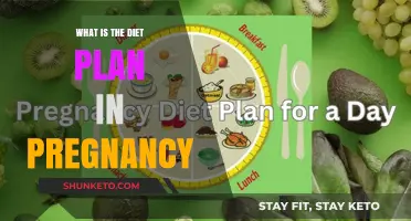 Nutrition Guide: Eating Healthy During Pregnancy