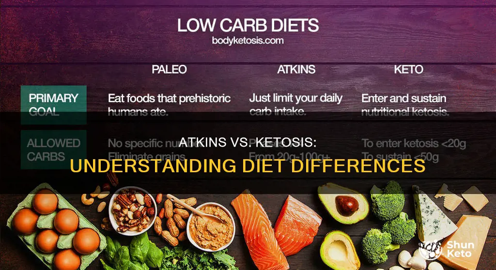 what is the difference between atkins and ketosis diet