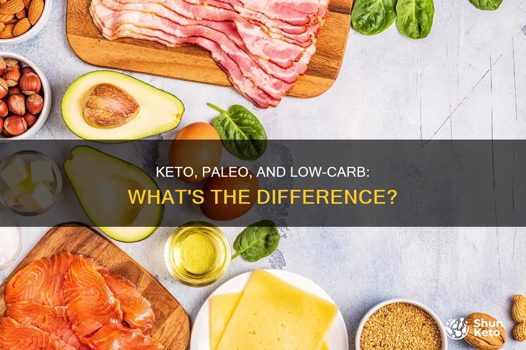 what is the difference between keto paleo and low-carb diets