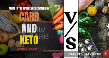 Low Carb vs Keto: Understanding the Core Differences