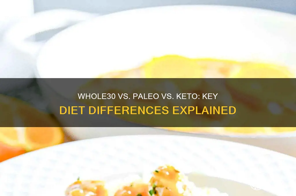 what is the difference between whole 30 paleo keto diets