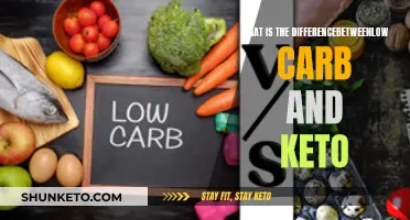 Low Carb vs Keto: What's the Real Difference?