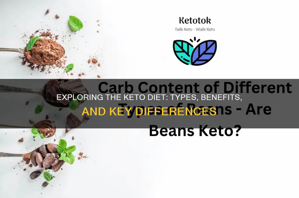 what is the different keto diet