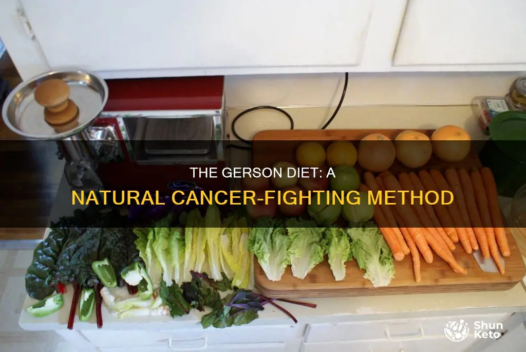 what is the dr gerson diet